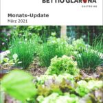 Monats-Update Februar 2021