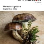 Monats-Update August 2021