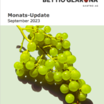 Monats-Update August 2023