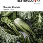 Monats-Update Januar 2024